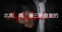 北周、隋、唐三朝皇室的亲戚关系：怎么延续的？